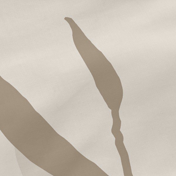 Fețe de pernă 2 buc. din bumbac 50x75 cm Maple – Blanc-image-1