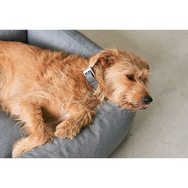 Pat  maro pentru câini 55x70 cm Mare Kelp S – MiaCara-image-3