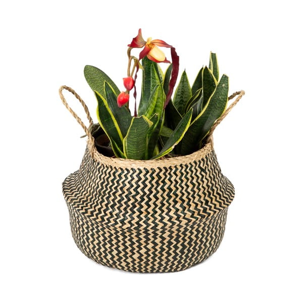 Coș depozitare din iarbă de mare Compactor Zic Zac, ⌀ 35 cm-image-1