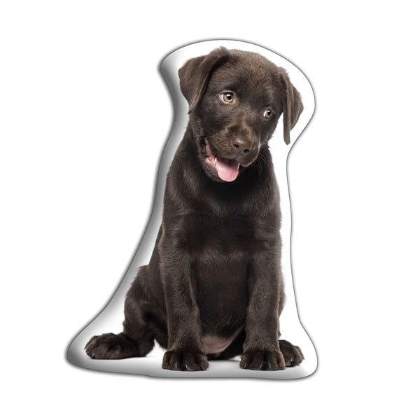 Pernă cu imprimeu Adorable Cushions Labrador ciocolatiu