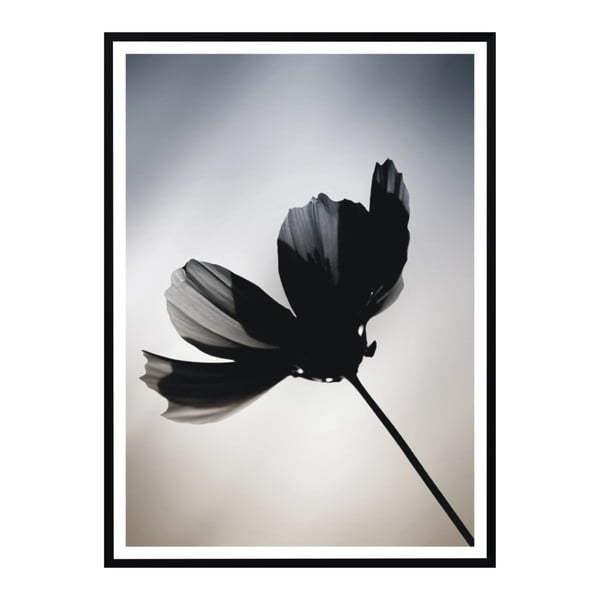 Poster Nord & Co Flower, 21 x 29 cm