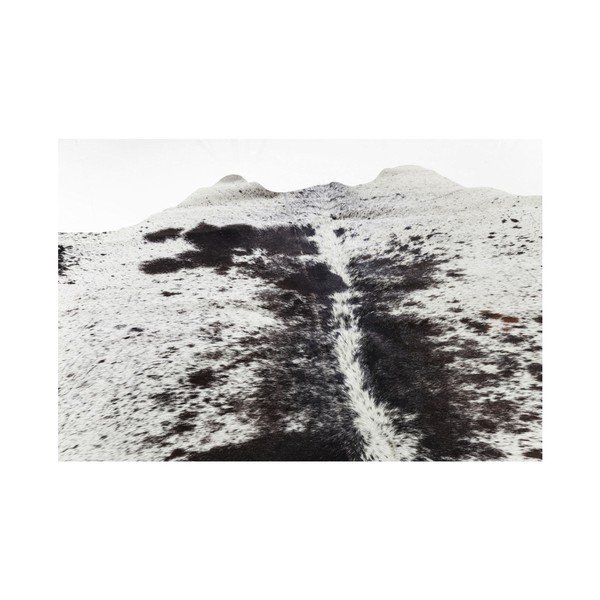 Covor din piele de vacă Kare Design Hide, alb-maro-image-3