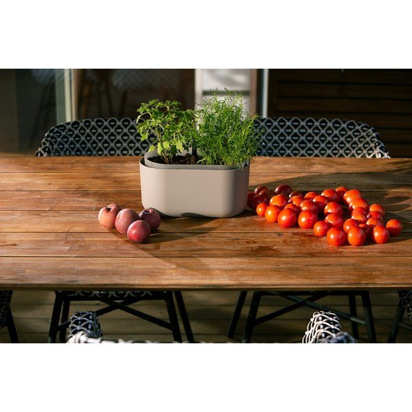 Ghiveci cu auto-udare Plastia Tolita, bej-image-2