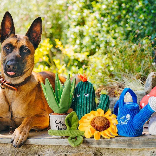 Jucării pentru câine 5 buc. Blooming Buddies – P.L.A.Y.-image-1