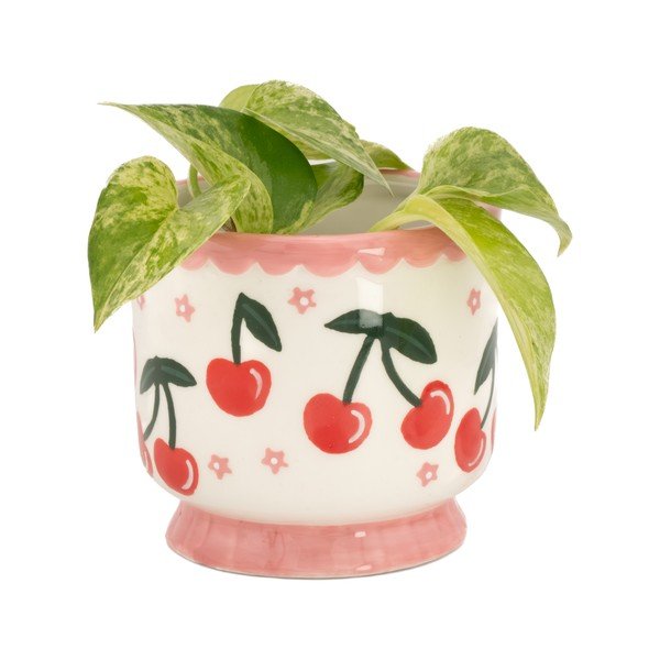 Ghiveci decorativ din ceramică ø 7,5 cm Fruit – Sass & Belle-image-1