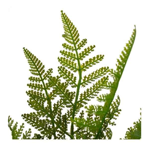 Ferigă artificială (înălțime 45 cm) – Casa Selección-image-2