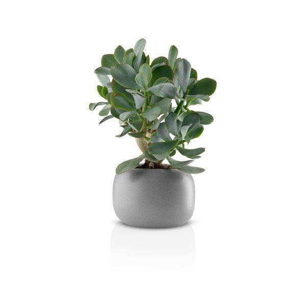 Ghiveci din ceramică Eva Solo Stone, ø 16 cm, gri-image-2