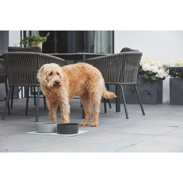 Bol pentru animale pentru câini din porțelan ø 20 cm Scodella Cement M/L – MiaCara-image-1