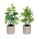 Plante artificiale 2 buc. (înălțime 28 cm) – Casa Selección