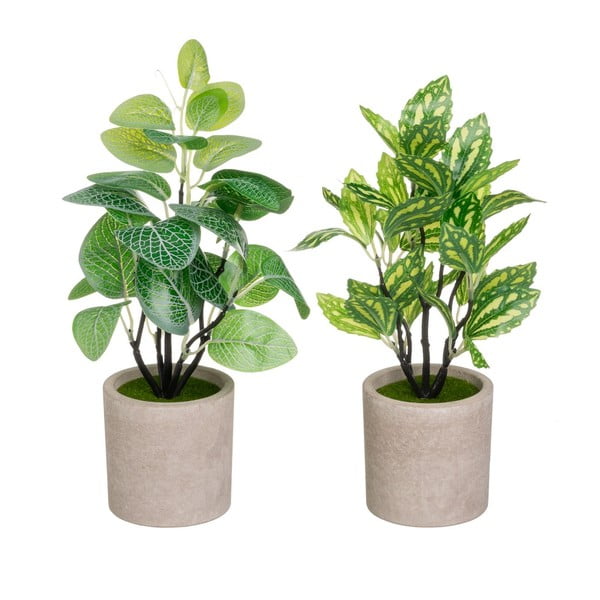 Plante artificiale 2 buc. (înălțime 28 cm) – Casa Selección