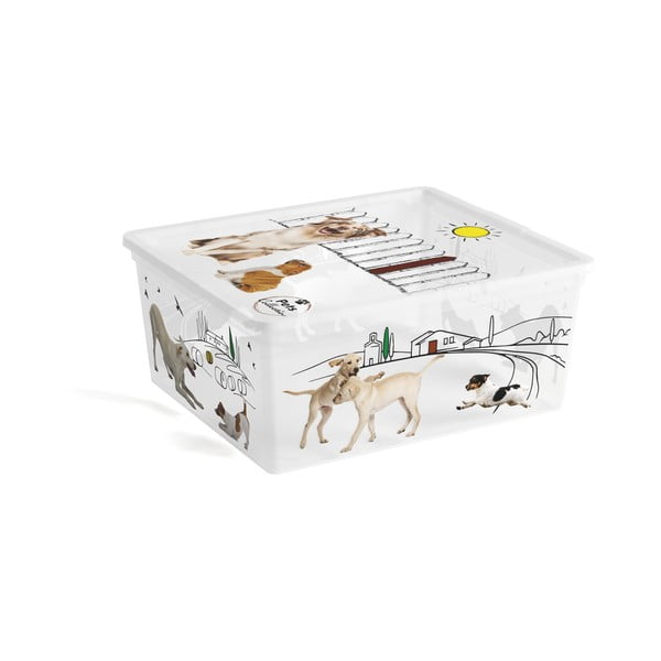 Cutie de depozitare albă din plastic cu capac 40x34x17 cm C Box Style – KIS