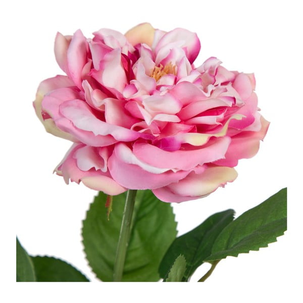 Plantă artificială (înălțime 43 cm) Rose – Ixia-image-1