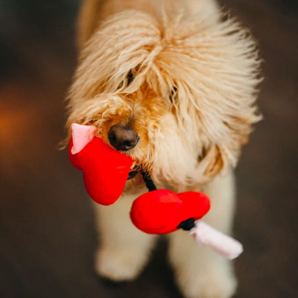 Jucărie pentru câine Heart - P.L.A.Y.-image-1