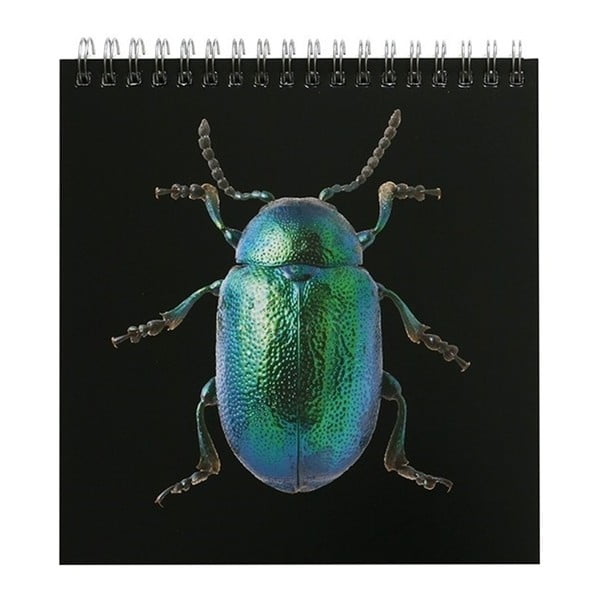 Calendar masă pentru anul 2018 Portico Designs Natural History Museum Beetles & Bugs