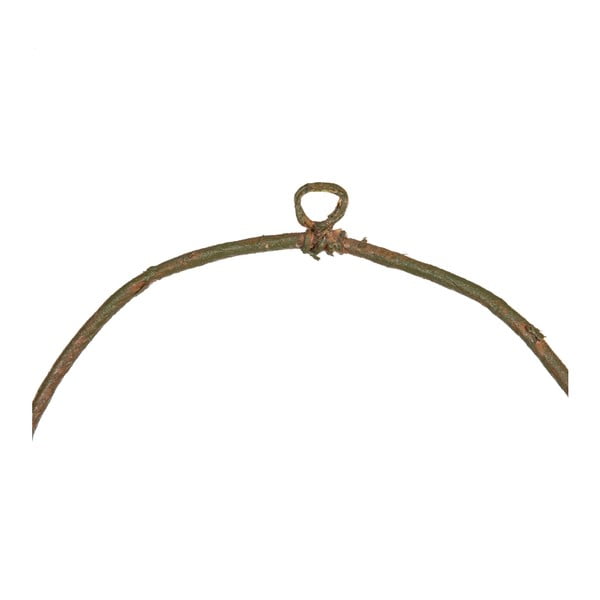 Coroniță Magnolia – Ixia-image-1