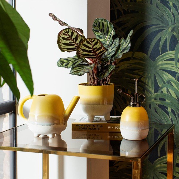 Ghiveci Sass & Belle Bohemian Home Mojave, ø 11,7 cm, galben-image-1