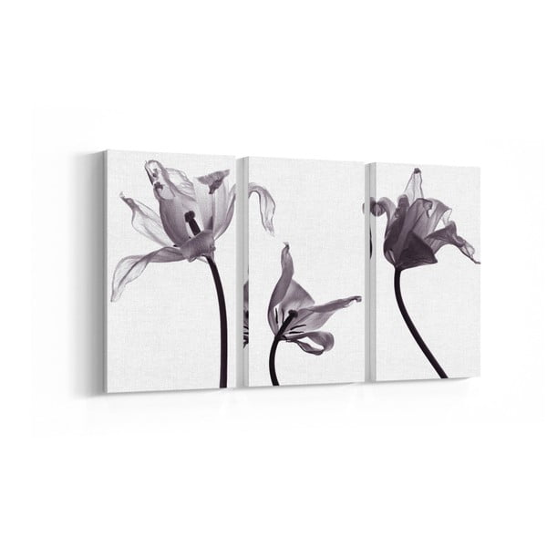 Set 3 tablouri Grey Flowers, 20 x 40 cm
