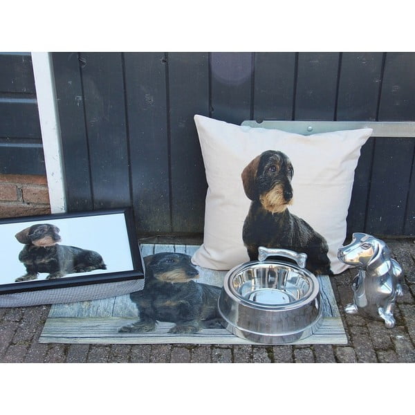 Pernă Mars&More Dog, 50 x 50  cm-image-2