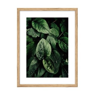 Poster 30x40 cm Leaves - knor