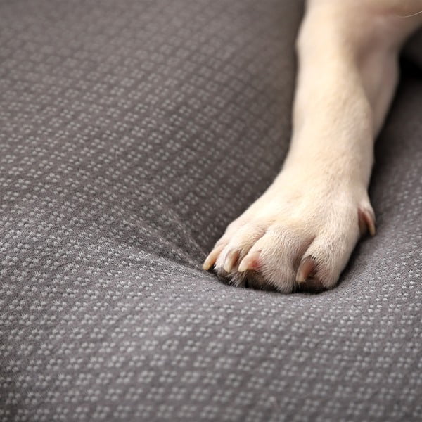 Pat pentru animale de companie gri deschis pentru câini 60x48 cm Graphene – Love Story-image-3