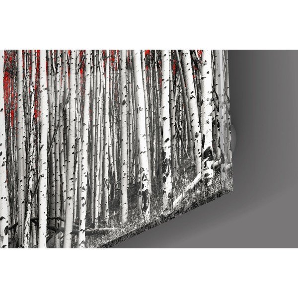 Tablou din sticlă Insigne Birches-image-2