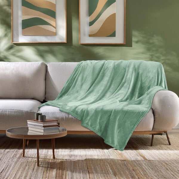 Pătură verde-deschis din microflanel 180x220 cm Flanou – douceur d'intérieur-image-1