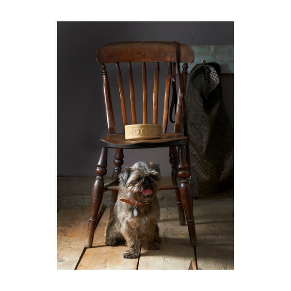 Bol din ceramică pentru câini Mason Cash Dog Cane, ø 25 cm-image-3