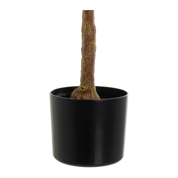 Plantă artificială Eucalyptus – Casa Selección-image-3