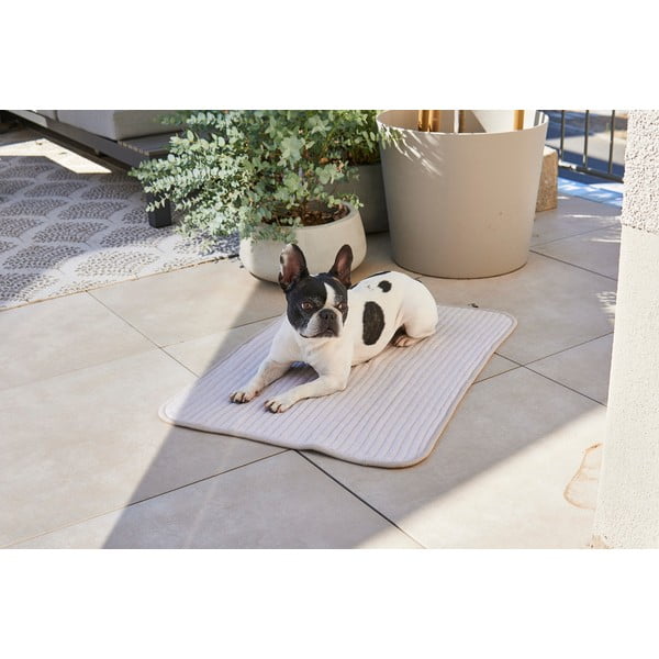 Pătură gri pentru câini din bumbac 75x100 cm Onda Pebble M – MiaCara-image-1