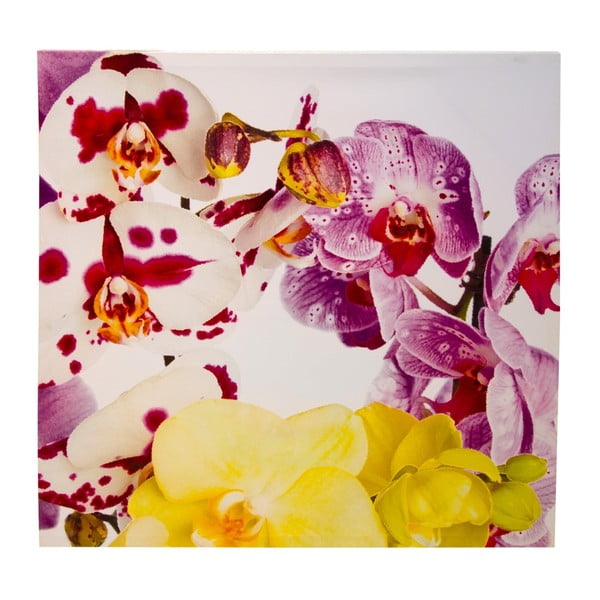 Pictură pe pânză 8mood Orchid, 90 x 90 cm