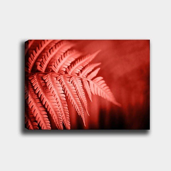 Tablou pe pânză Tablo Center Palm, 40 x 60 cm