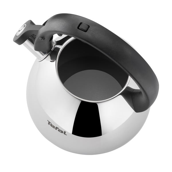 Ceainic din inox  pentru inducție 2,7 l - Tefal-image-3