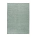 Covor verde 200x290 cm Loft – Universal