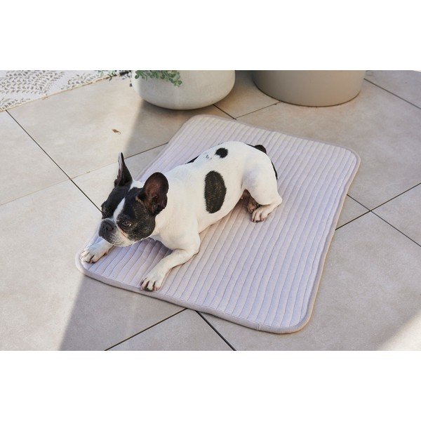 Pătură gri pentru câini din bumbac 75x100 cm Onda Pebble M – MiaCara-image-3