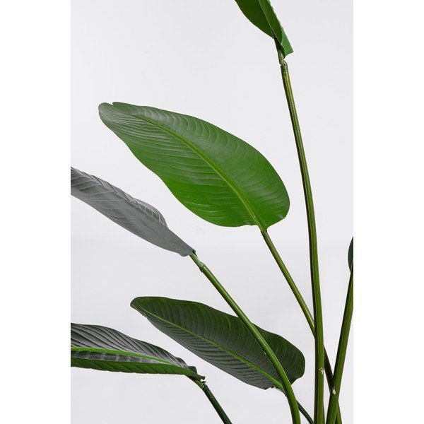 Plantă artificială (înălțime 185 cm) Sterilizia – Bizzotto-image-1