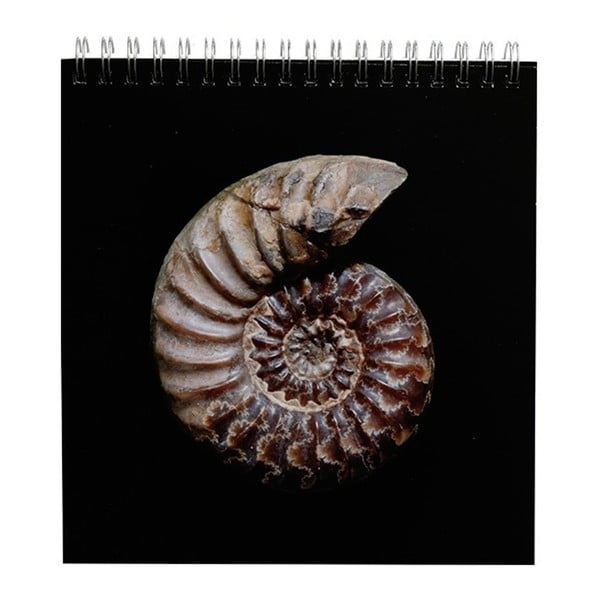 Calendar masă pentru anul 2018 Portico Designs Natural History Museum Fossils