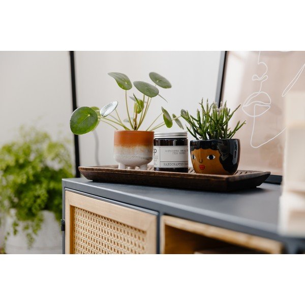 Ghiveci Sass & Belle My Kind of People Chantelle, maro-image-1