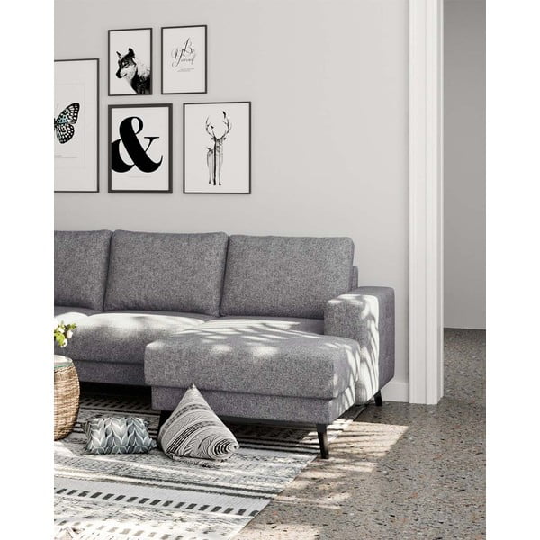 Colțar gri (pe partea stângă ) Fynn – Ghado-image-4