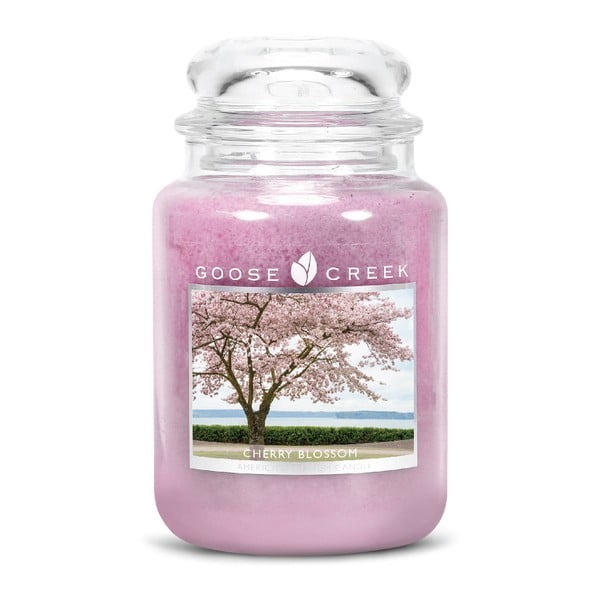 Lumânare parfumată Goose Creek, aromă de flori de cireș, 150 ore