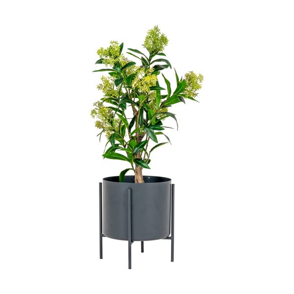 Plantă artificială Skimmia - House Nordic-image-1