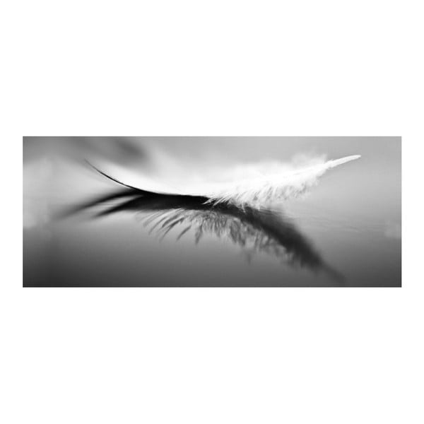 Tablou din sticlă DecoMalta Feather, 125 x 50 cm
