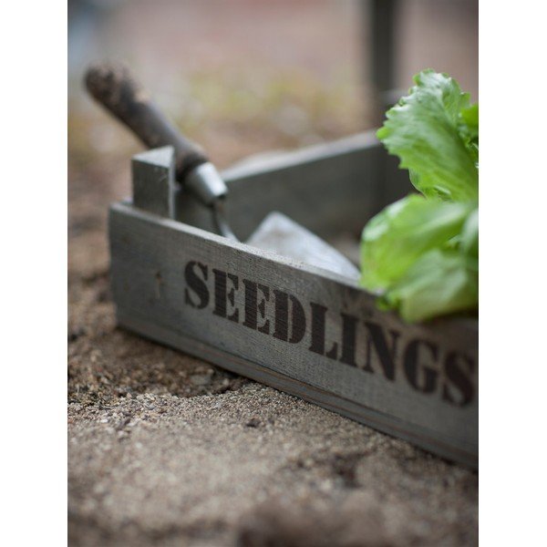 Ladă din lemn de molid Garden Trading Seedlings-image-1