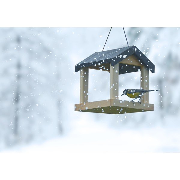 Hrănitor de păsări – Esschert Design-image-3