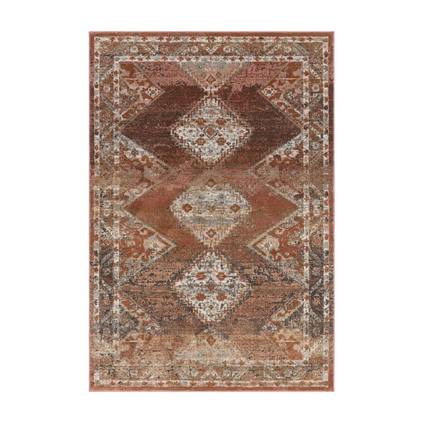 Covor roșu-maroniu 230x155 cm Zola - Asiatic Carpets