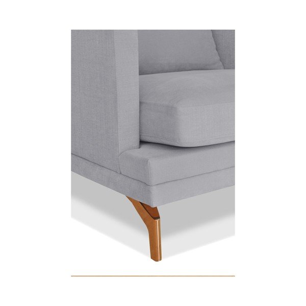 Canapea cu 2 locuri Windsor & Co. Sofas Jupiter, gri-image-3