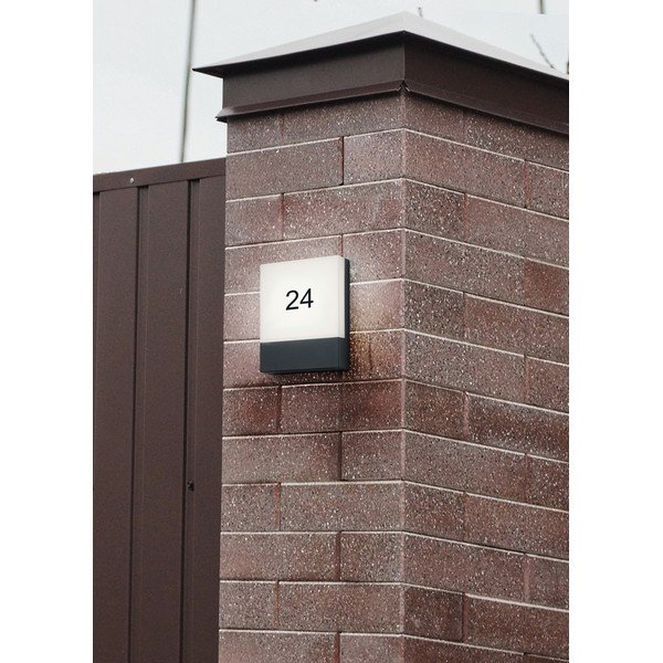 Corp de iluminat pentru exterior LED de perete (înălțime 20 cm) Pecos – Trio-image-2