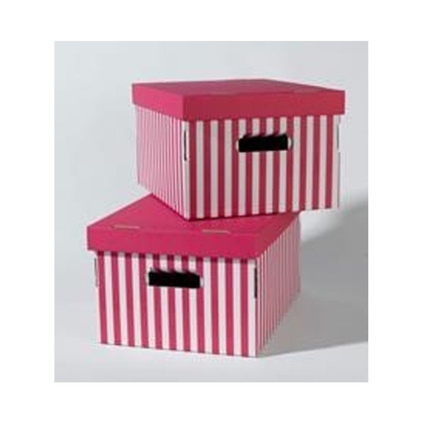 Set 2 cutii de depozitare Compactor Pink Stripes
