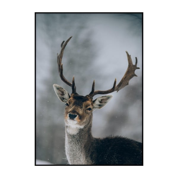 Poster Imagioo Deer, 40 x 30 cm