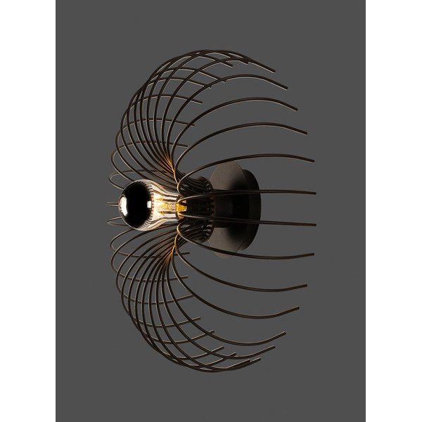 Aplică de perete neagră Opilio – Squid Lighting-image-3