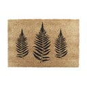 Covoraș de intrare din fibre de nucă de cocos 40x60 cm Fern Leaf – Artsy Doormats
